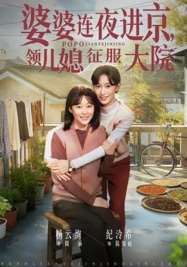婆婆連夜進京,領兒媳征服大院海報