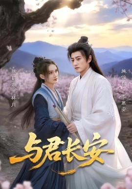 與君長安海報