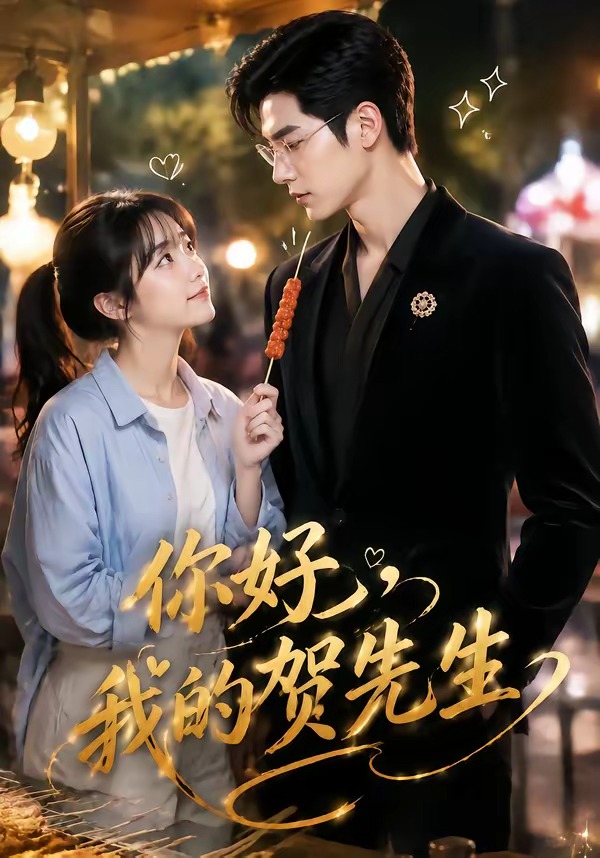 你好,我的賀先生海報