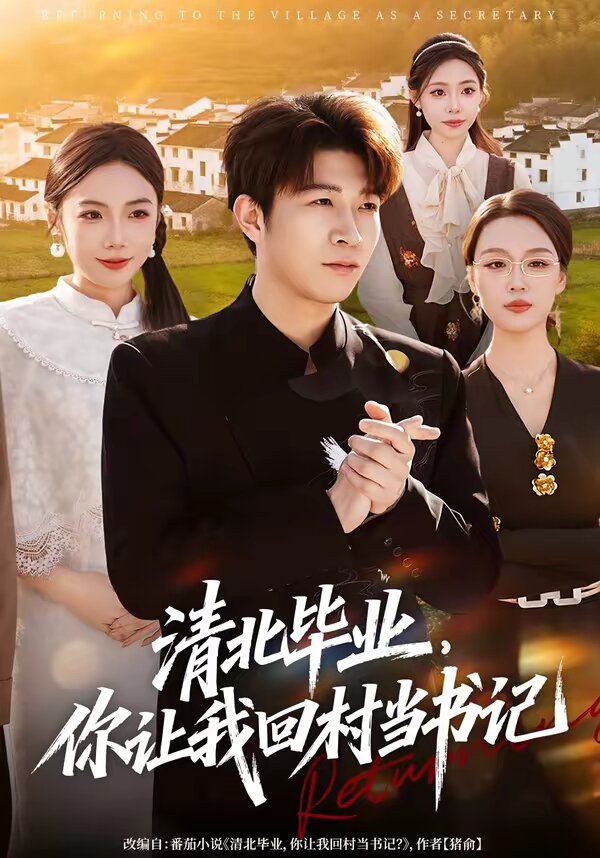 清北畢業,你讓我回村當書記海報