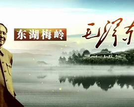 東湖梅嶺毛澤東海報