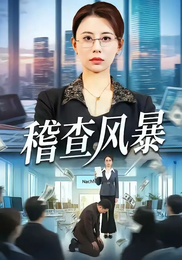 稽查風暴海報