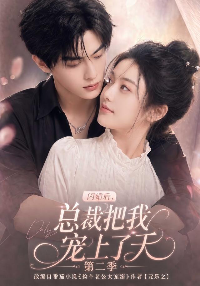 閃婚後,總裁把我寵上了天海報