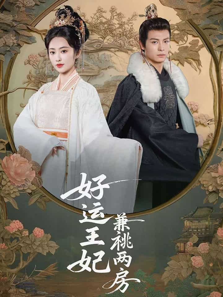 好運王妃兼祧兩房海報
