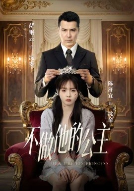 不做他的公主海報