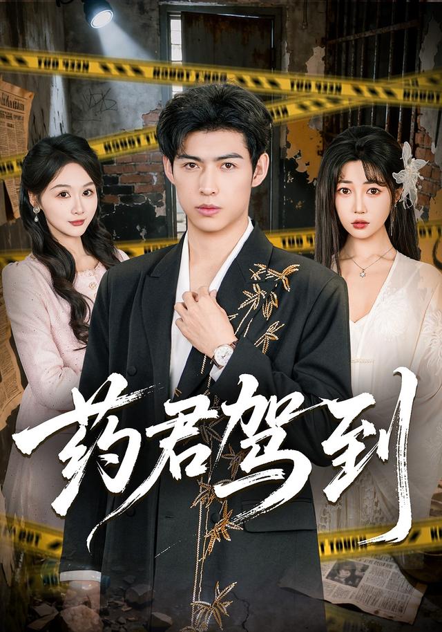 藥君駕到海報