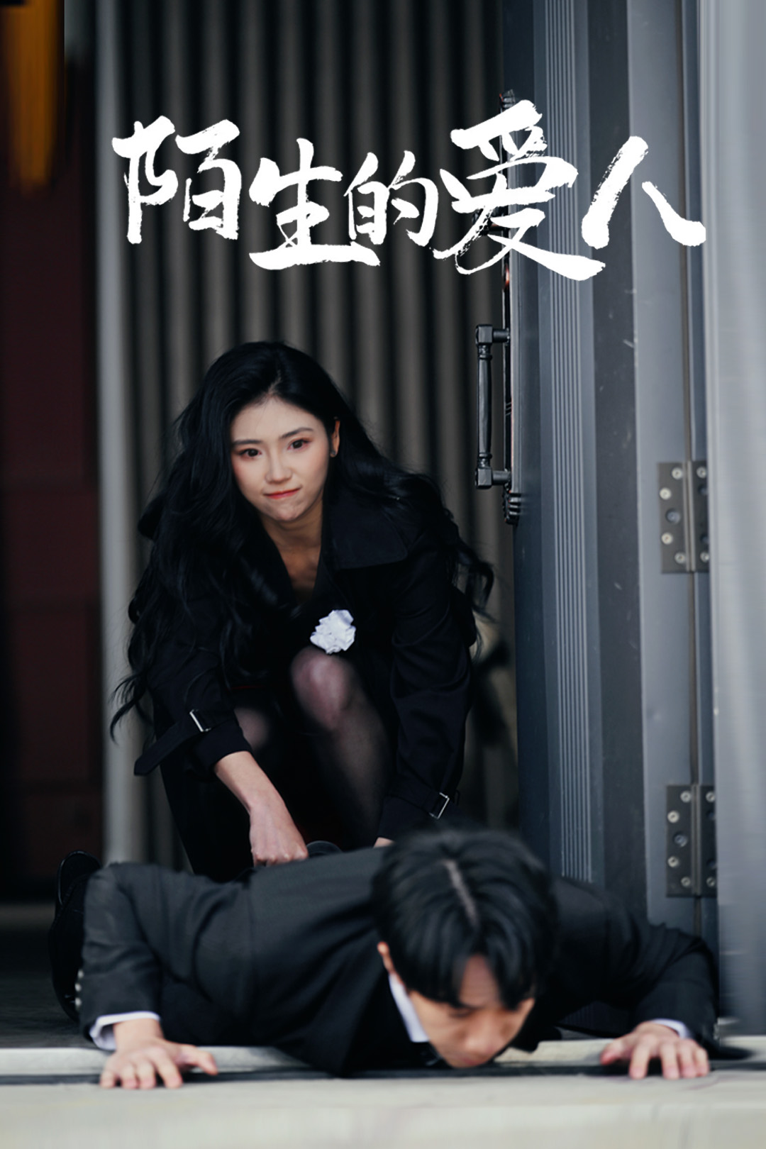 陌生的愛人海報