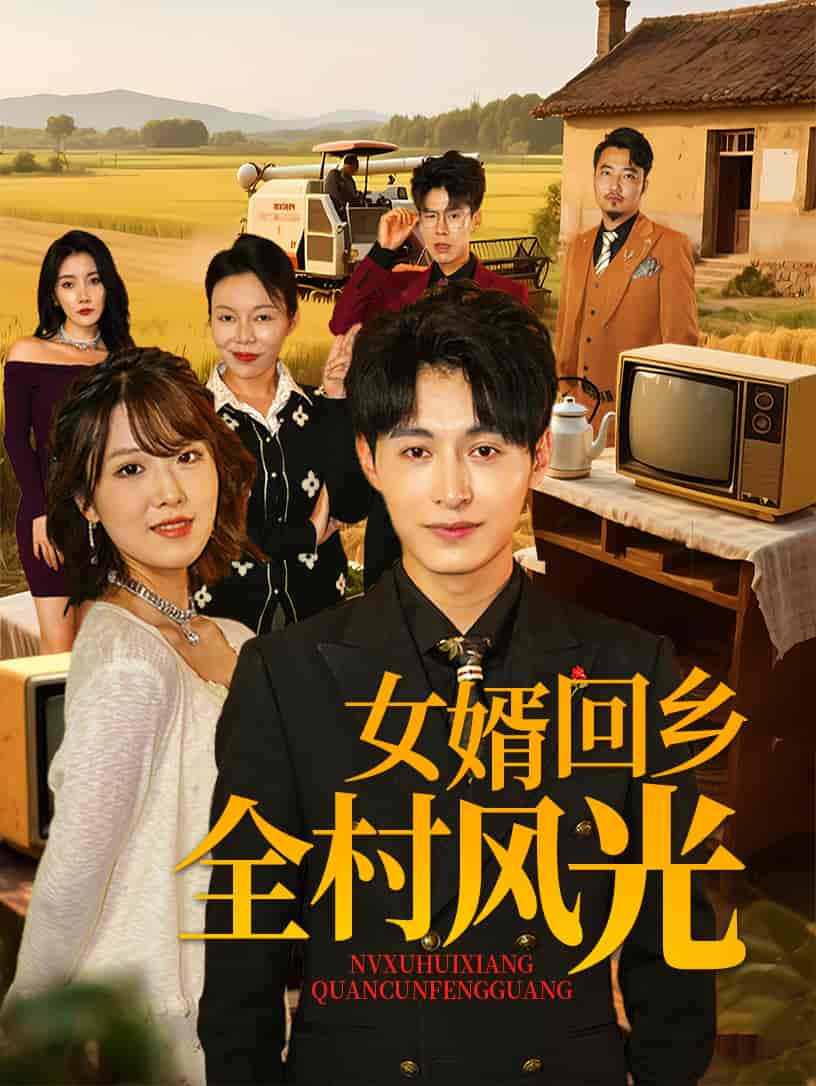 女婿回鄉全村風光海報