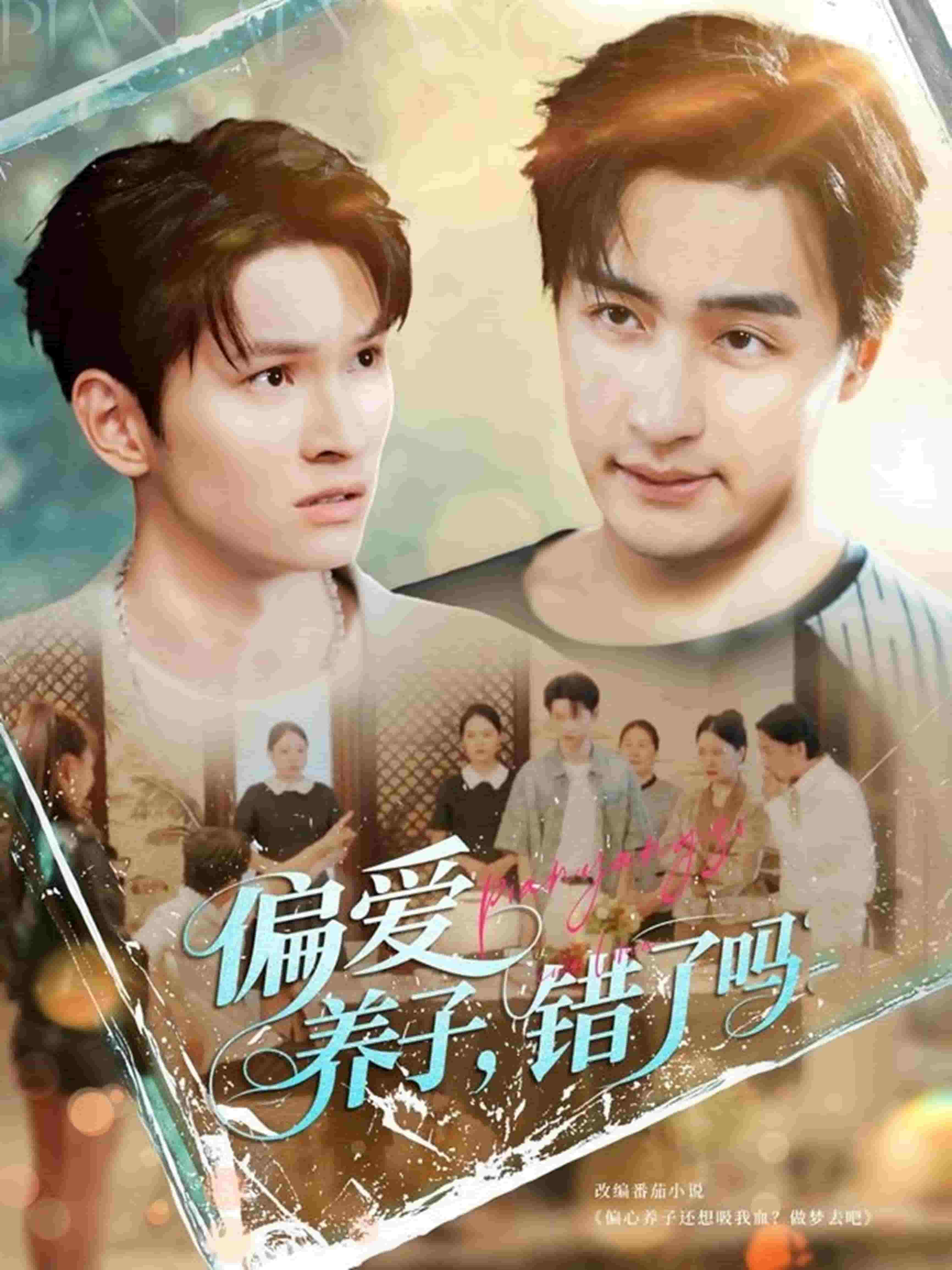 偏愛養子,錯了嗎海報
