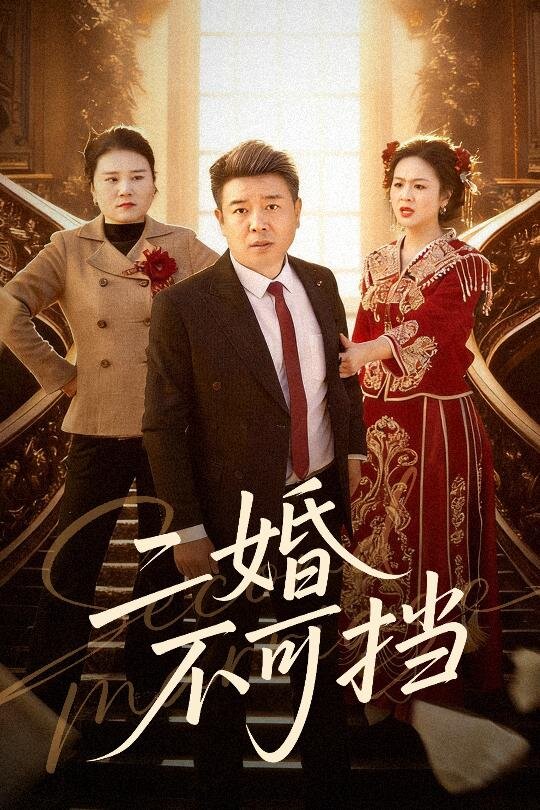 二婚不可擋海報