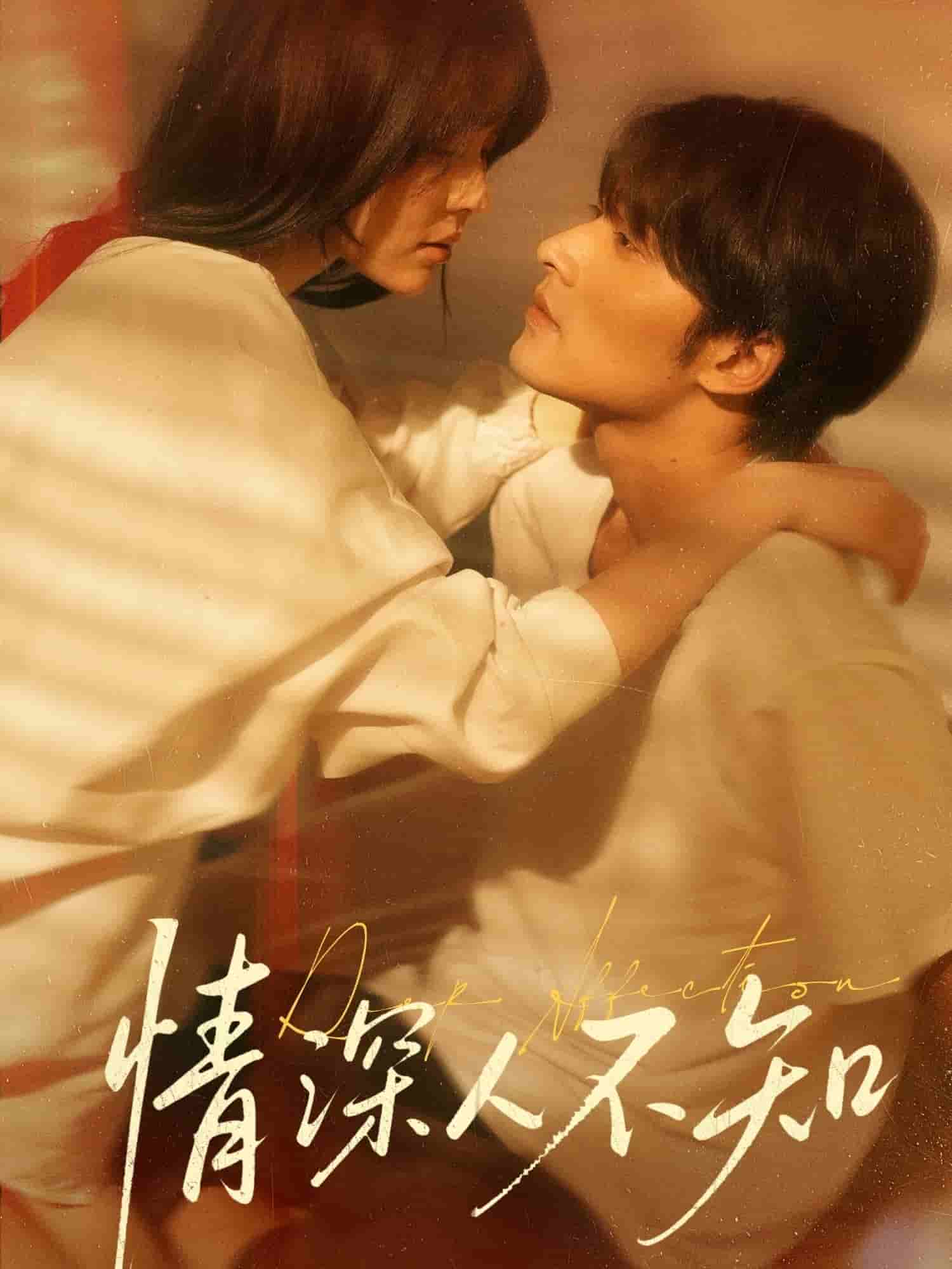 情深人不知海報