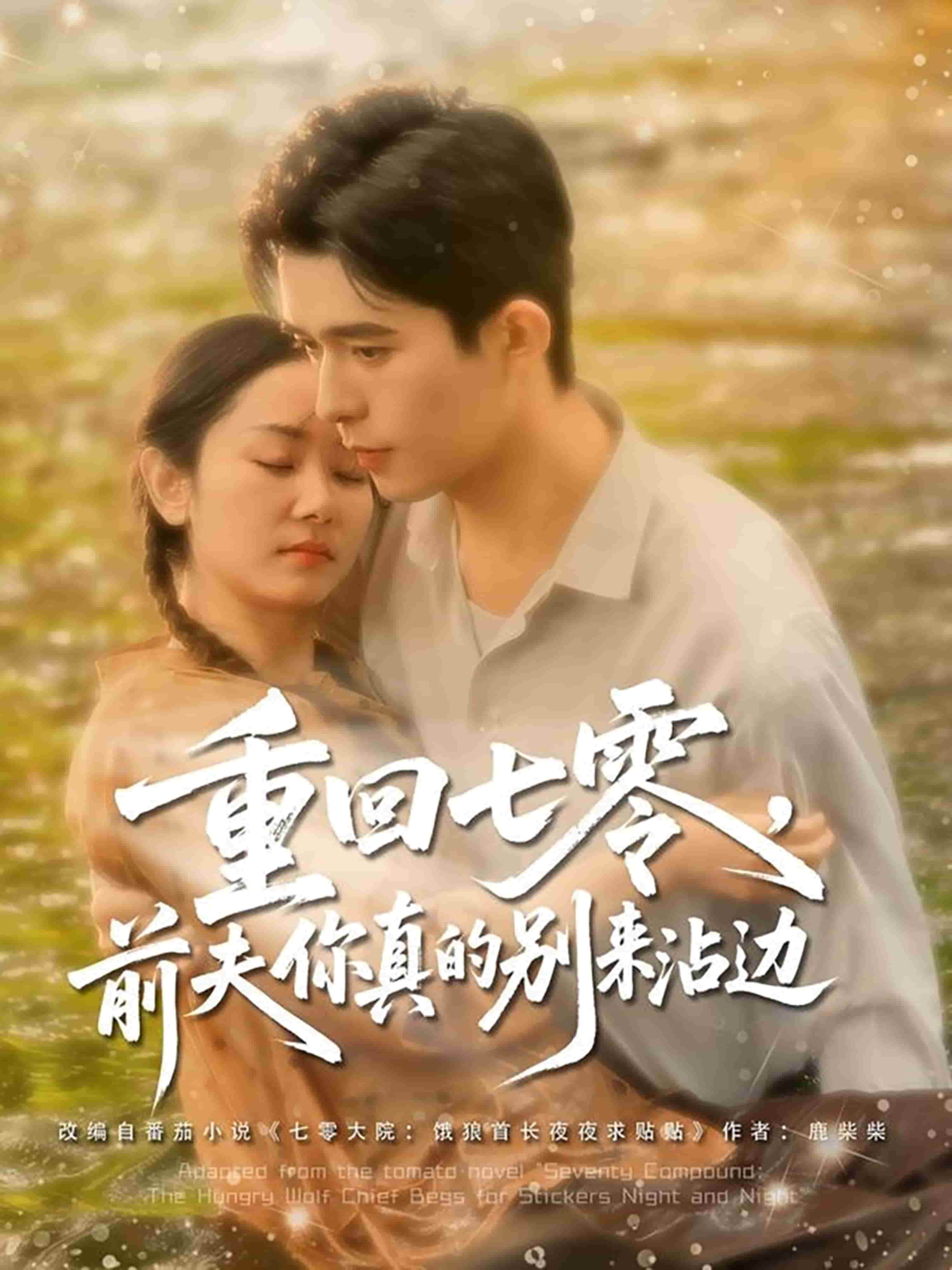 重回七零前夫你真的別來沾邊海報