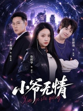 小爺無情海報
