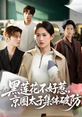 黑蓮花不好惹,京圈太子集體破防海報