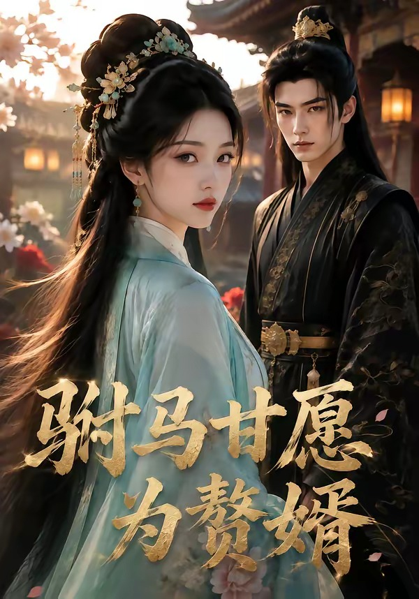 駙馬甘願為贅婿海報