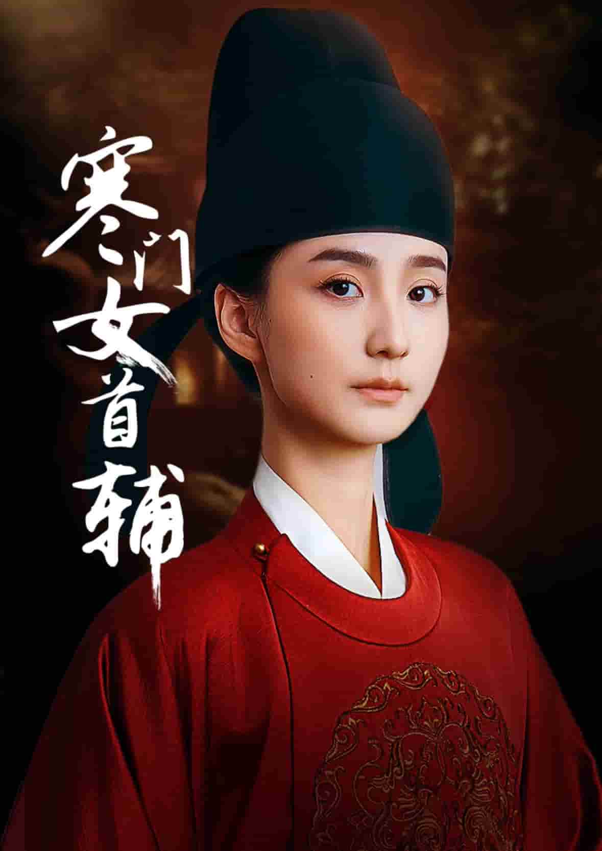 寒門女首輔海報