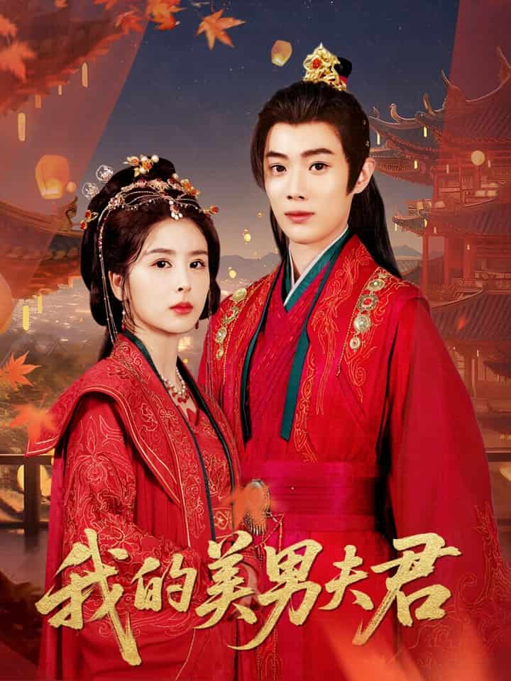 我的美男夫君海報