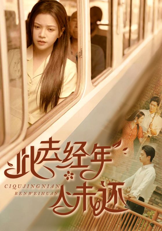 此去經年人未還海報