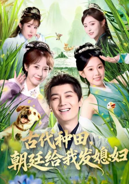古代種田,朝廷給我發媳婦海報
