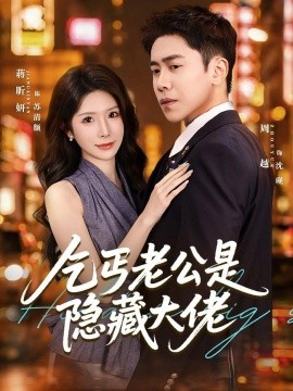 乞丐老公是隱藏大佬海報