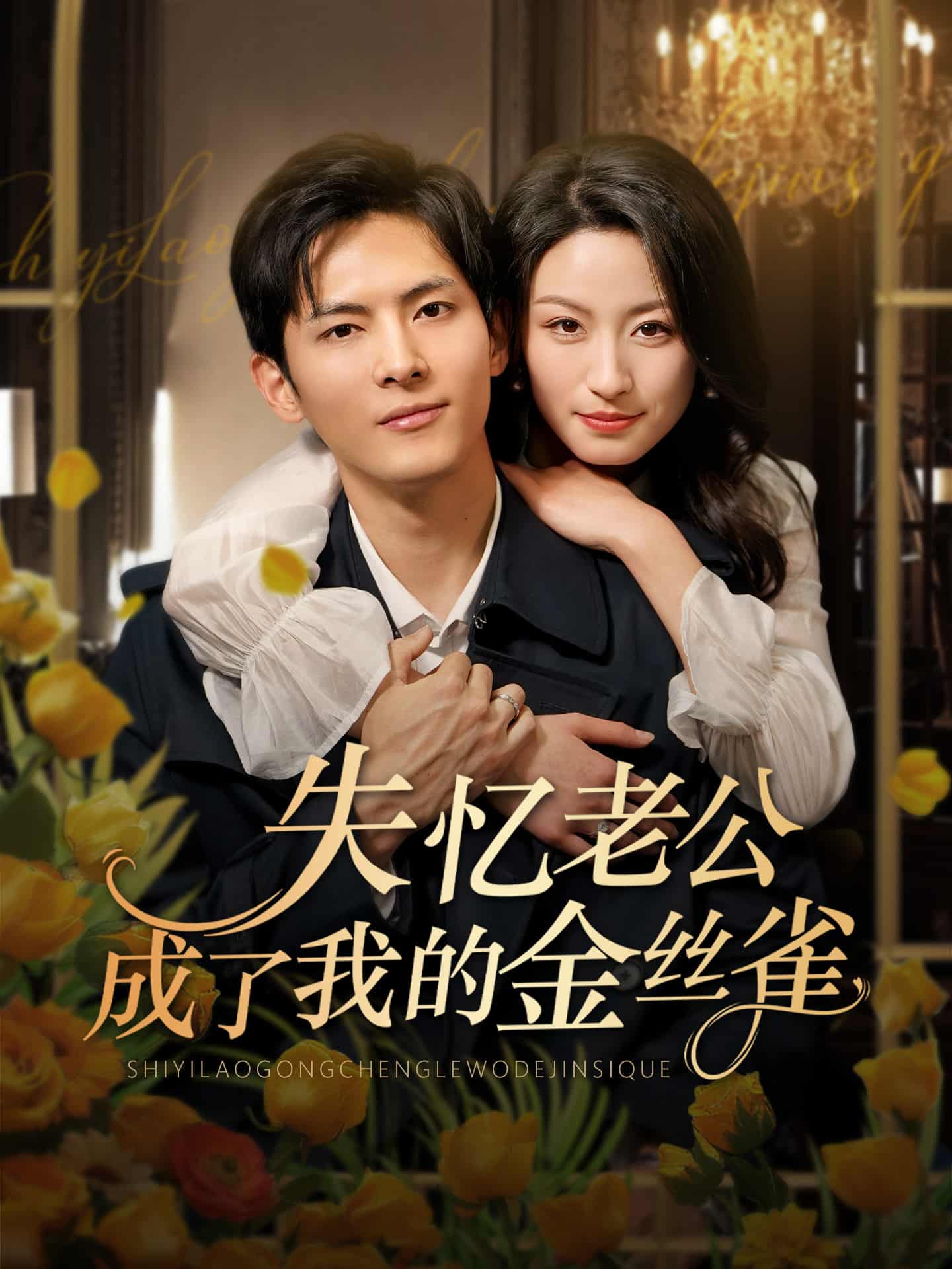 失憶老公成了我的金絲雀海報