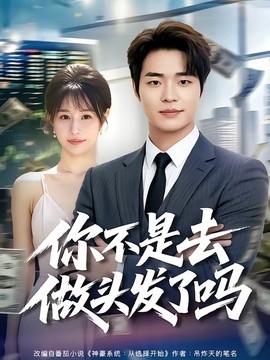 你不是去做頭髮了嗎海報