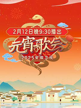 2025安徽衛視元宵晚會海報