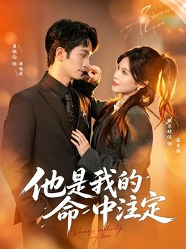 他是我的命中註定海報