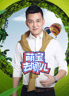 萌寶去哪兒海報