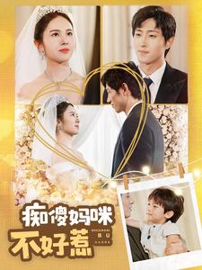 痴傻媽咪不好惹海報