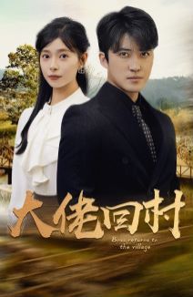 大佬回村海報