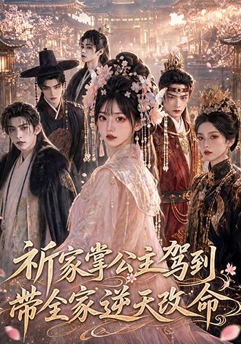 祈家掌公主駕到,帶全家逆天改命海報