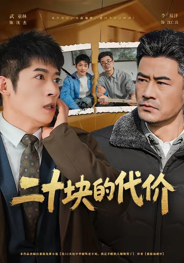 二十塊的代價海報