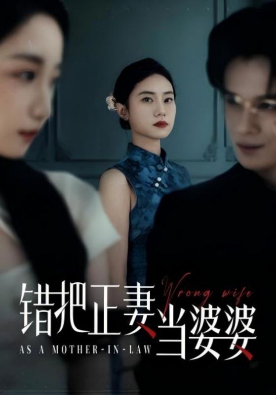 錯把正妻當婆婆海報