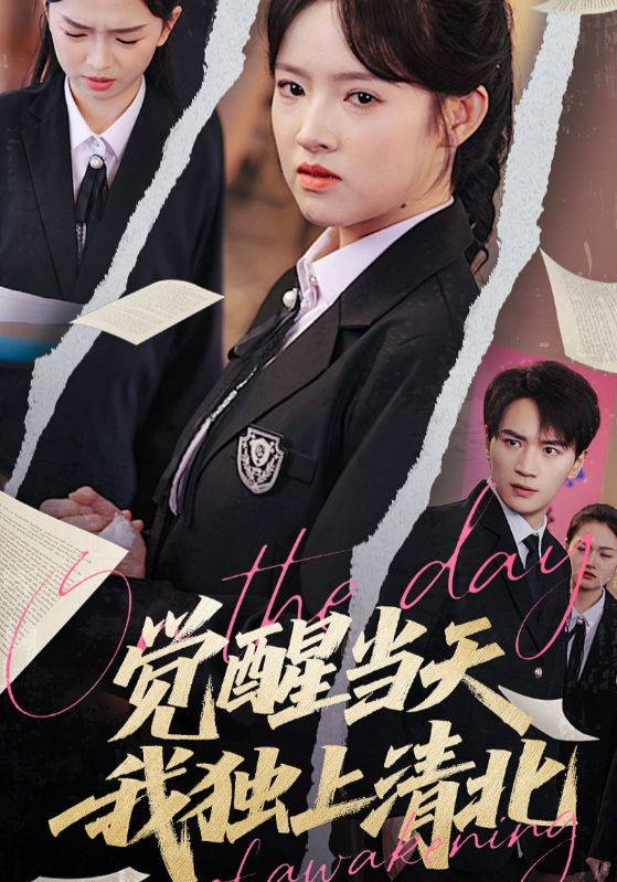 覺醒當天我獨上清北海報