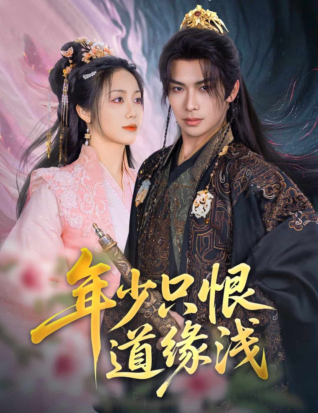 年少只恨道緣淺海報