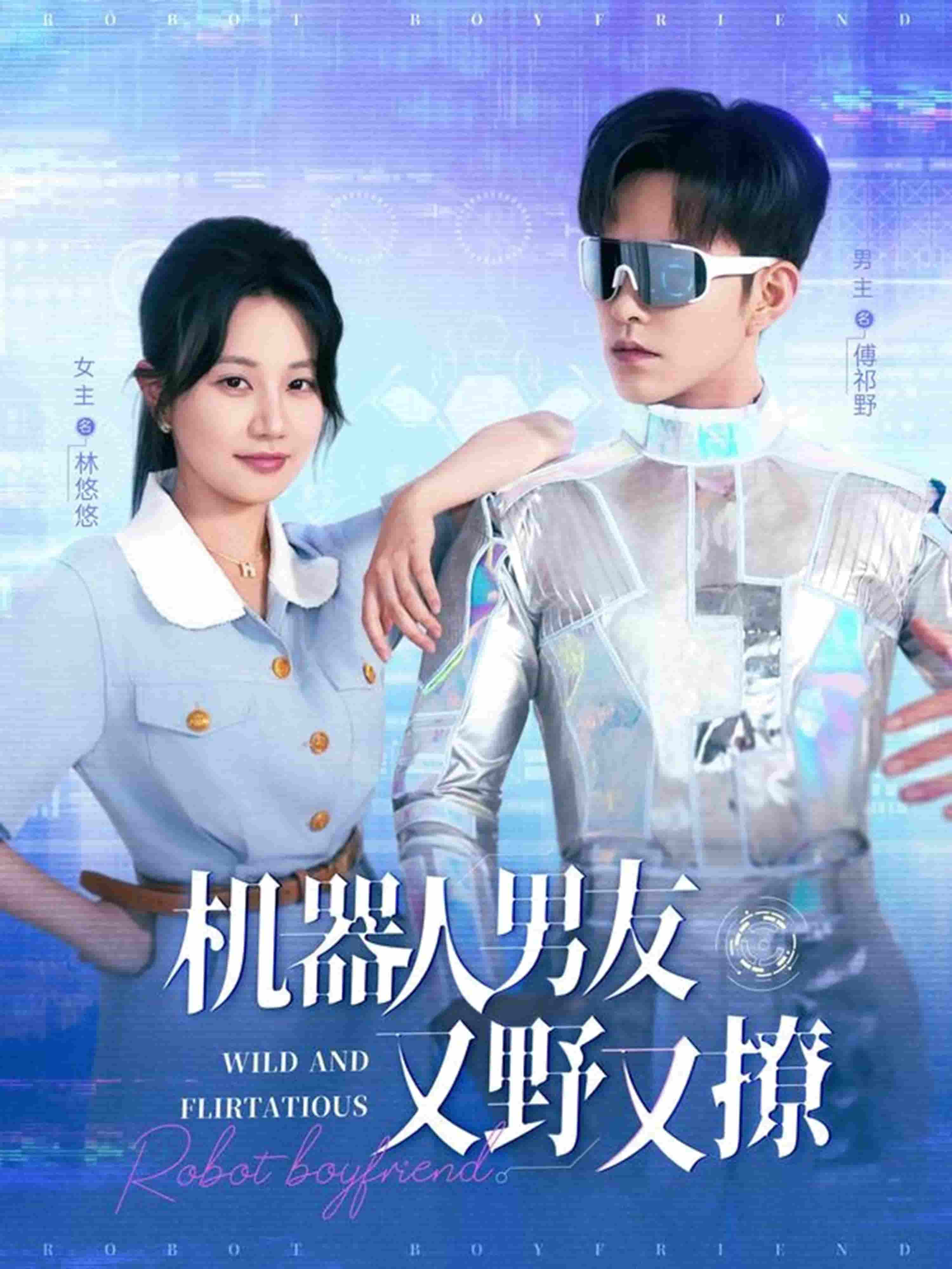 機器人男友又野又撩海報