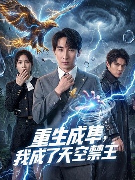 重生成隼,我成了天空禁主海報