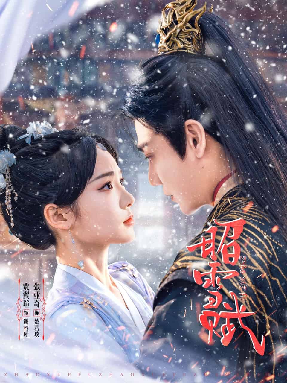 昭雪賦海報