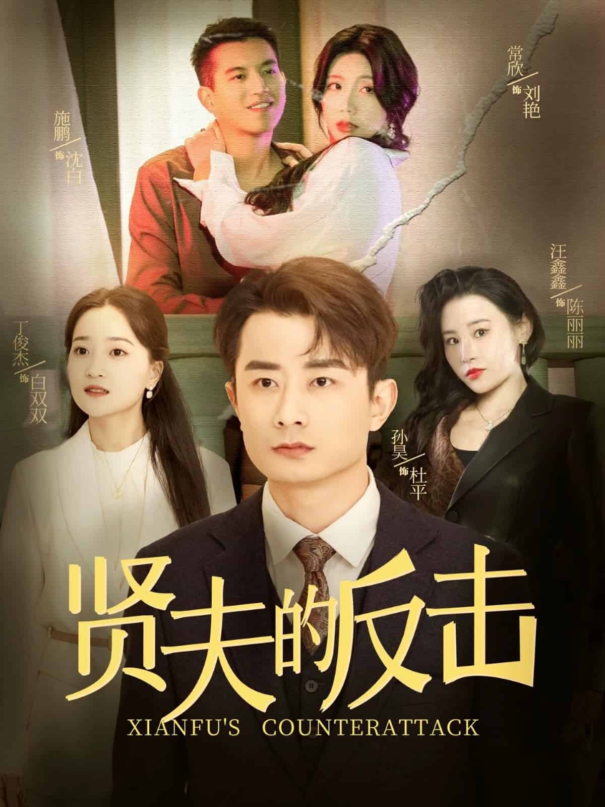 賢夫的反擊海報
