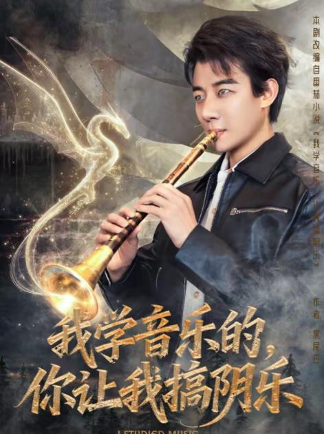 我學音樂的,你讓我搞陰樂海報