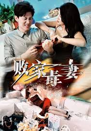 敗家毒妻海報