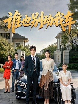 誰也別動我車海報
