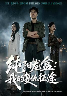 純陽龍盒:我的復仇征途海報