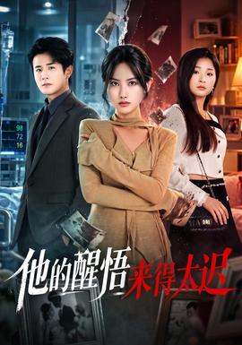 他的醒悟來得太遲海報
