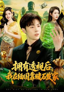 擁有透視後,我在緬國靠賭石發家海報