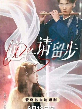 道長請留步海報