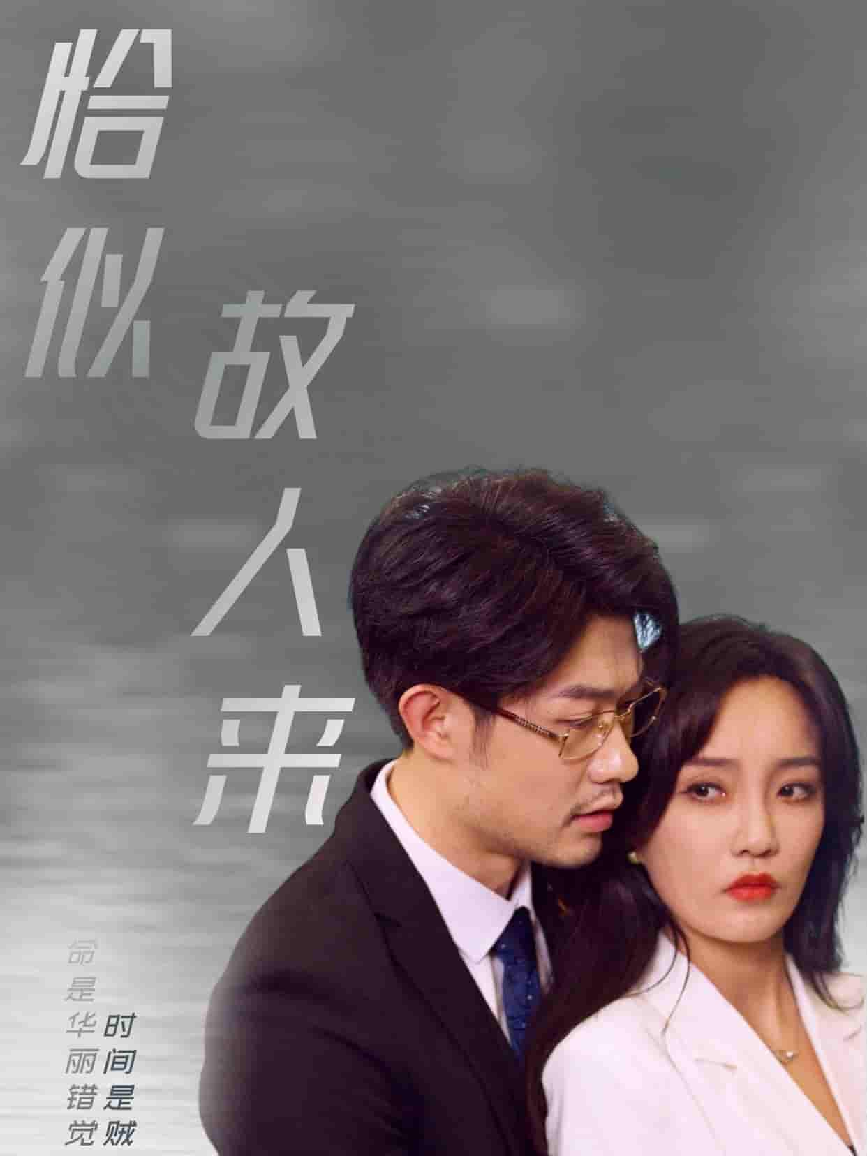 恰似故人來海報