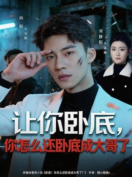 讓你臥底,你怎麼還臥成大哥了海報