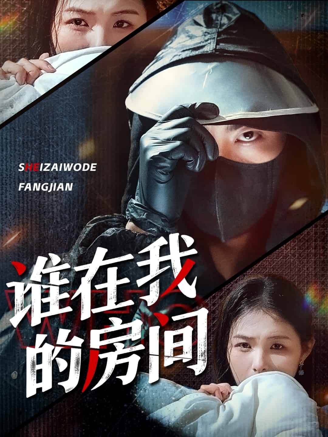誰在我的房間海報